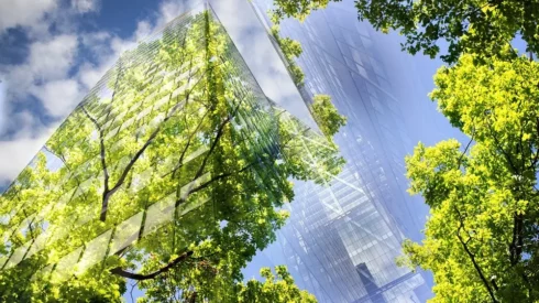 Going for green How green building certification increases a projects value